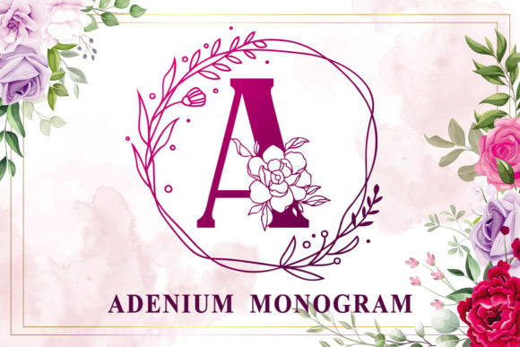 Adenium Monogram: A Decorative Font for Editorial Warmth