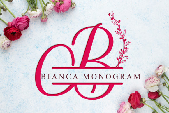 Bianca Monogram: A Dainty Decorative Font for Editorial Design