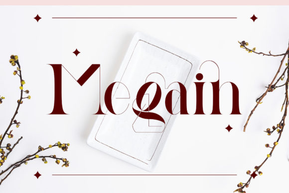 Megain Serif Font: A Hands-On Test for Branding Work