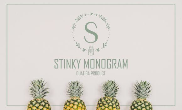 Stinky: a designer's honest review before you buy