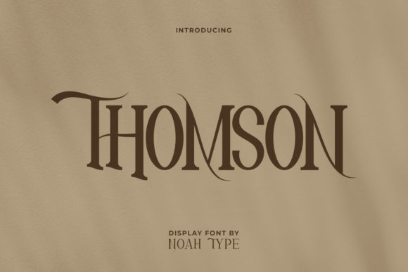 Thomson: A Modern Serif Font for the Web